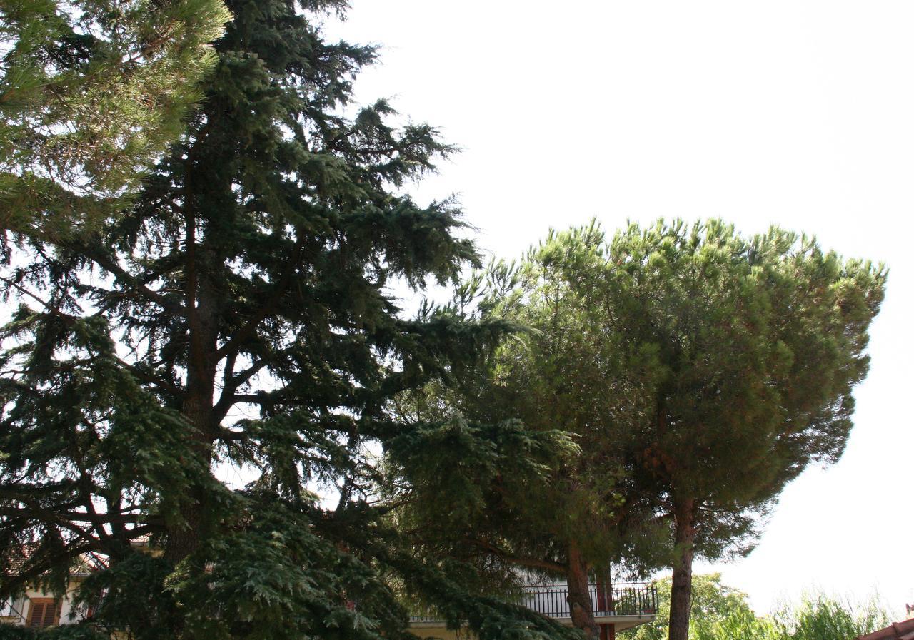 Etna Country Bed & Breakfast *